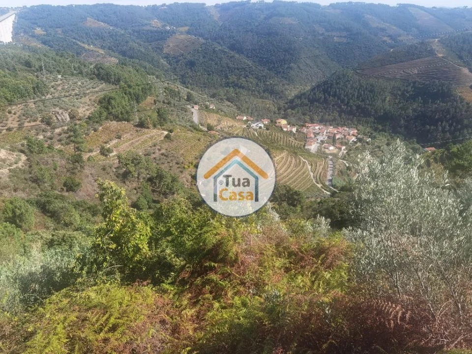 Terreno para Venda em Parada de Cunhos Foto 10