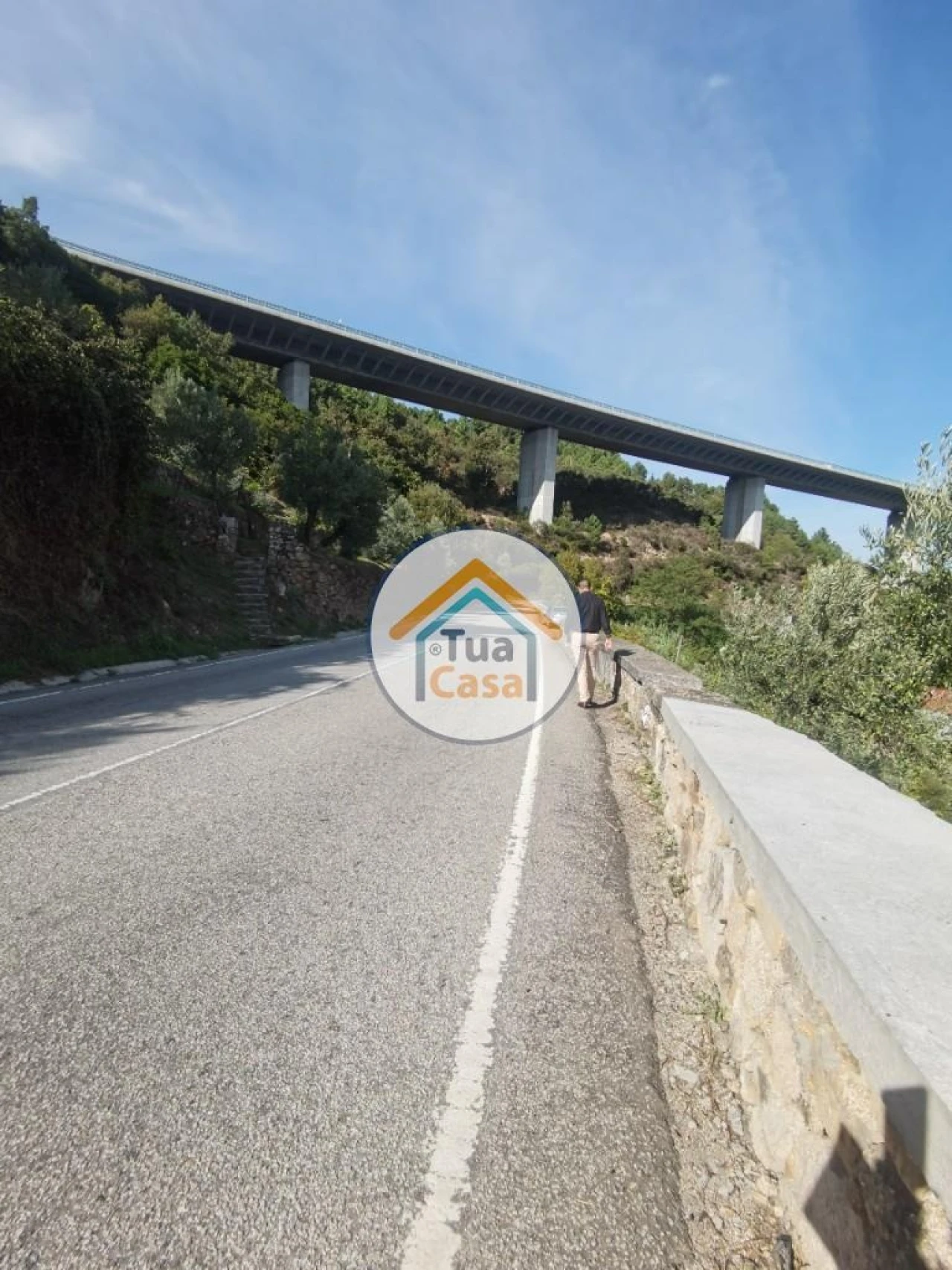 Terreno para Venda em Parada de Cunhos Foto 40