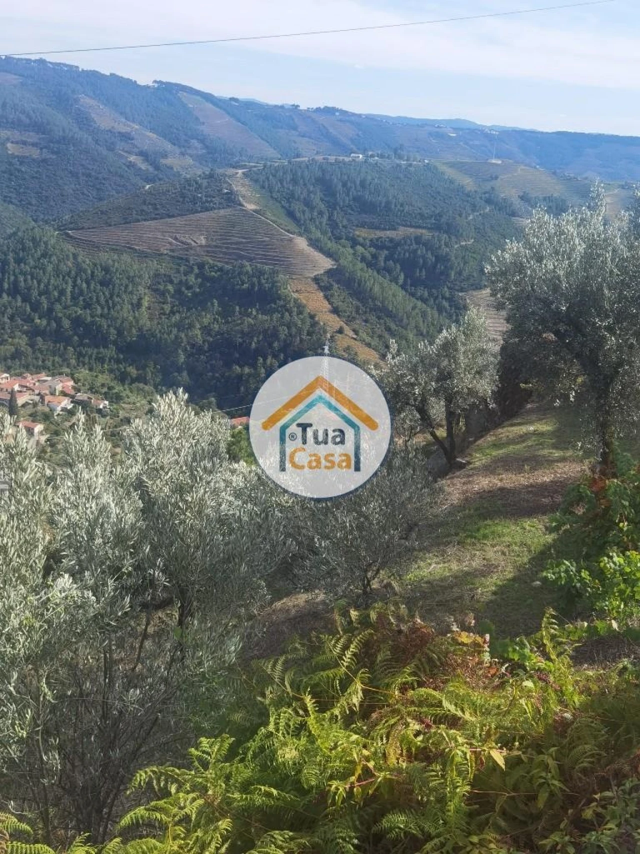 Terreno para Venda em Parada de Cunhos Foto 15