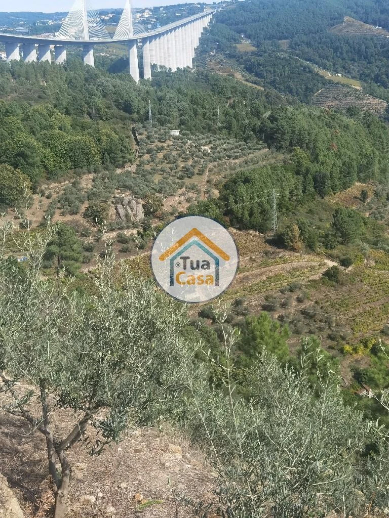 Terreno para Venda em Parada de Cunhos Foto 23