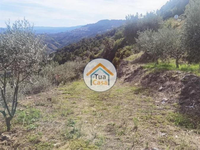 Terreno para Venda em Parada de Cunhos Foto 20