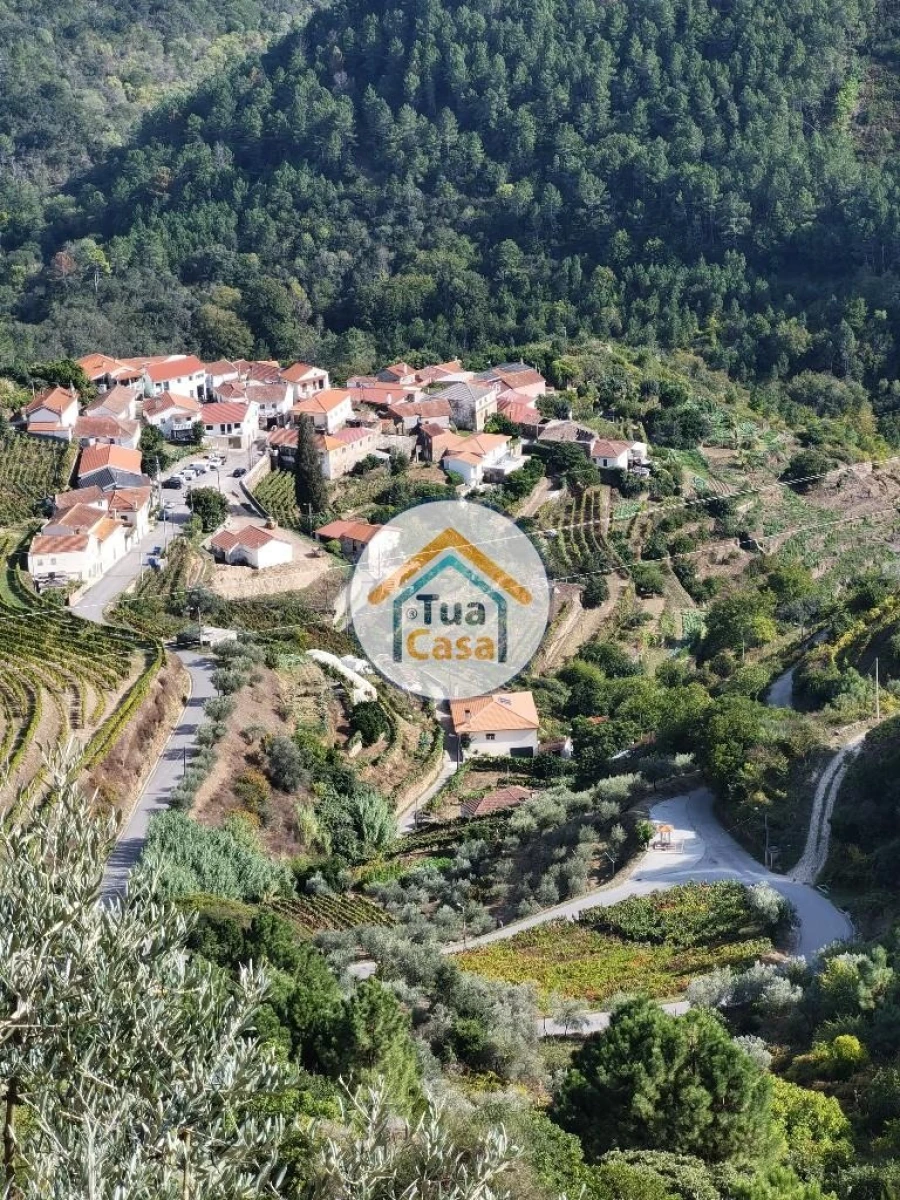 Terreno para Venda em Parada de Cunhos Foto 36