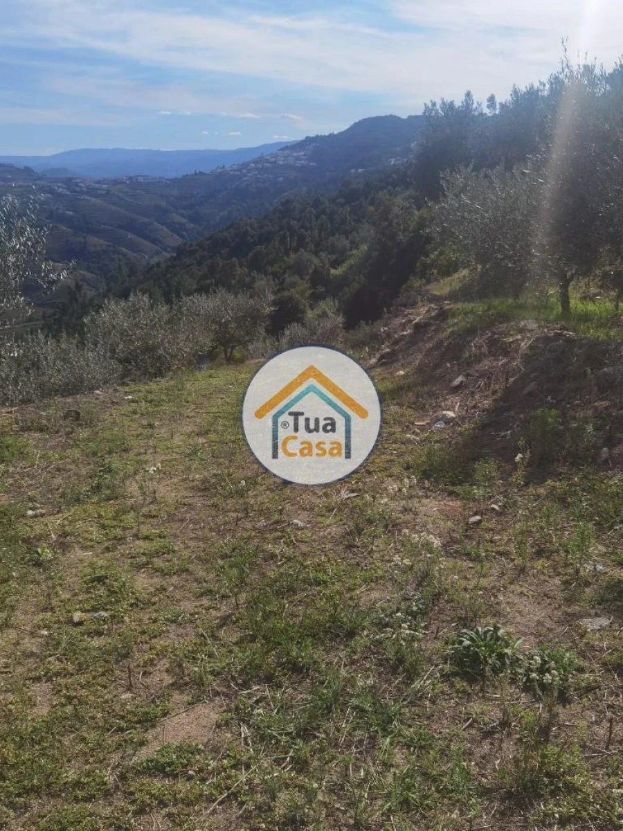 Terreno para Venda em Parada de Cunhos Foto 18