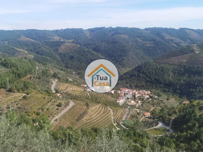 Terreno para Venda em Parada de Cunhos Foto 28