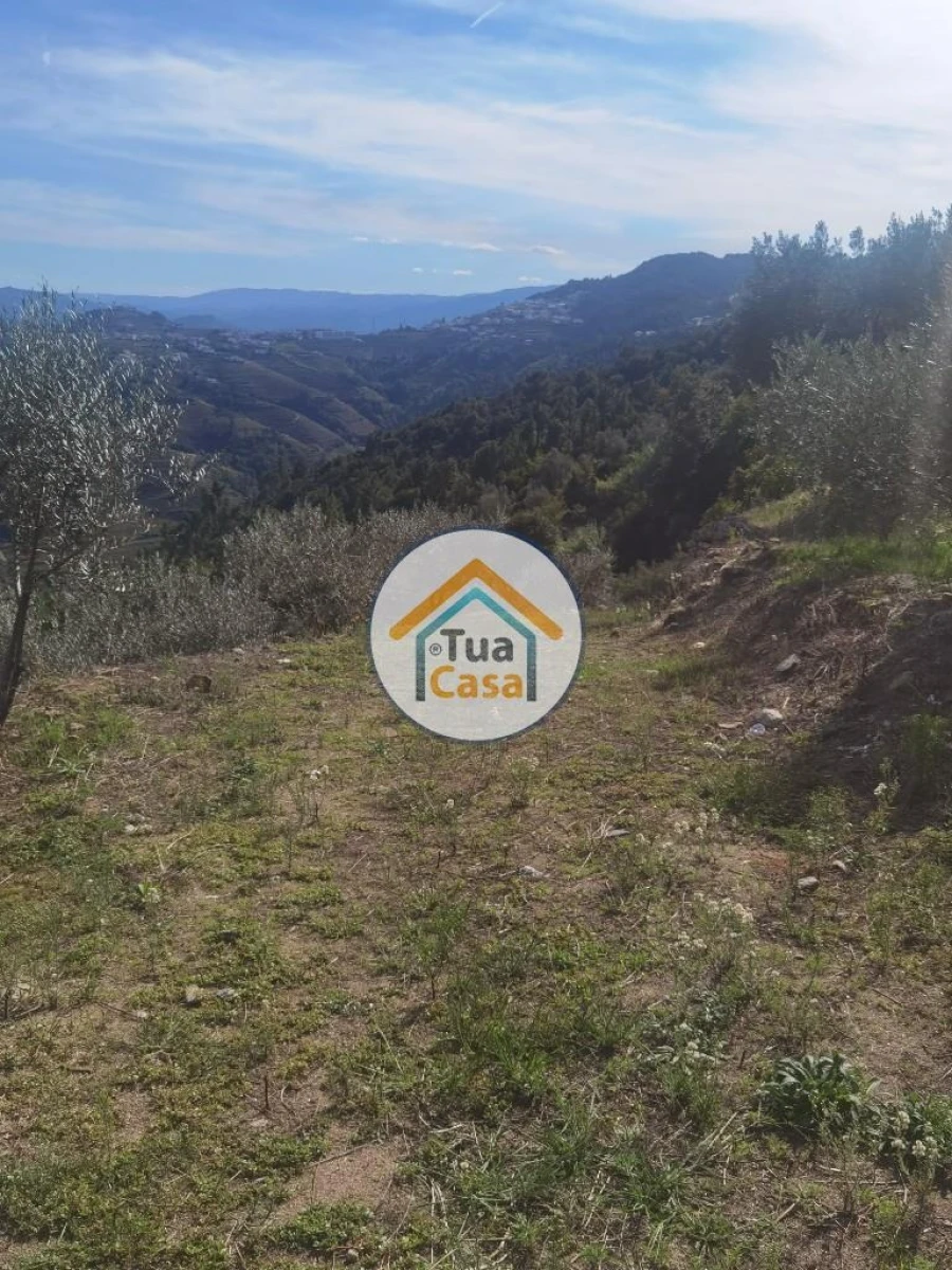 Terreno para Venda em Parada de Cunhos Foto 19