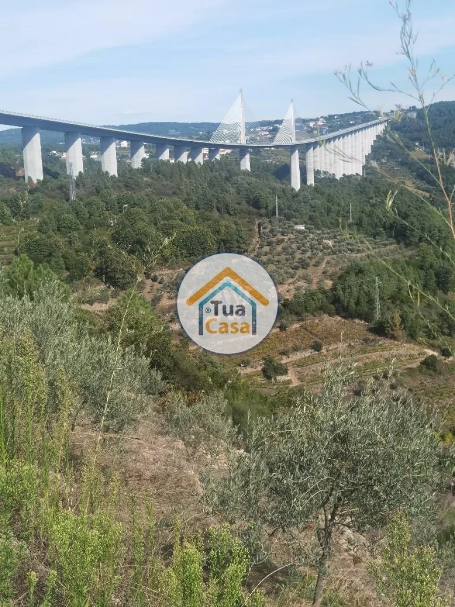 Terreno para Venda em Parada de Cunhos Foto 33