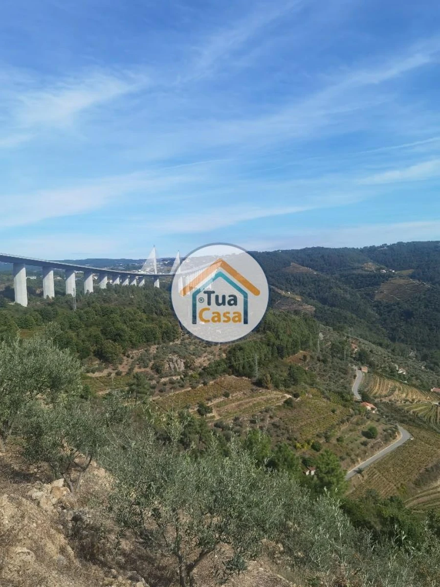 Terreno para Venda em Parada de Cunhos Foto 26