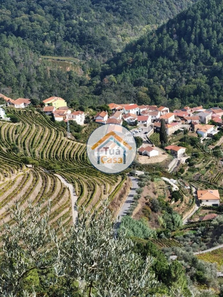 Terreno para Venda em Parada de Cunhos Foto 37