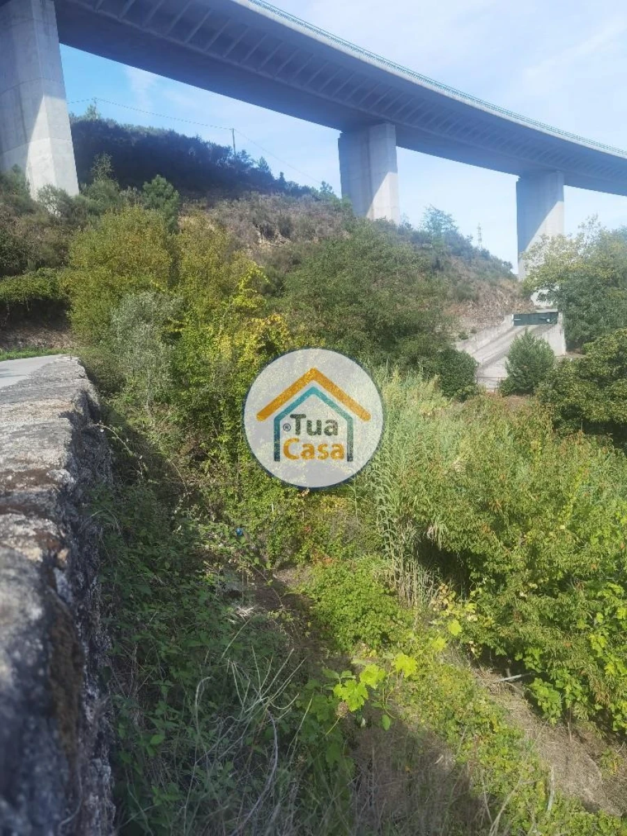 Terreno para Venda em Parada de Cunhos Foto 12