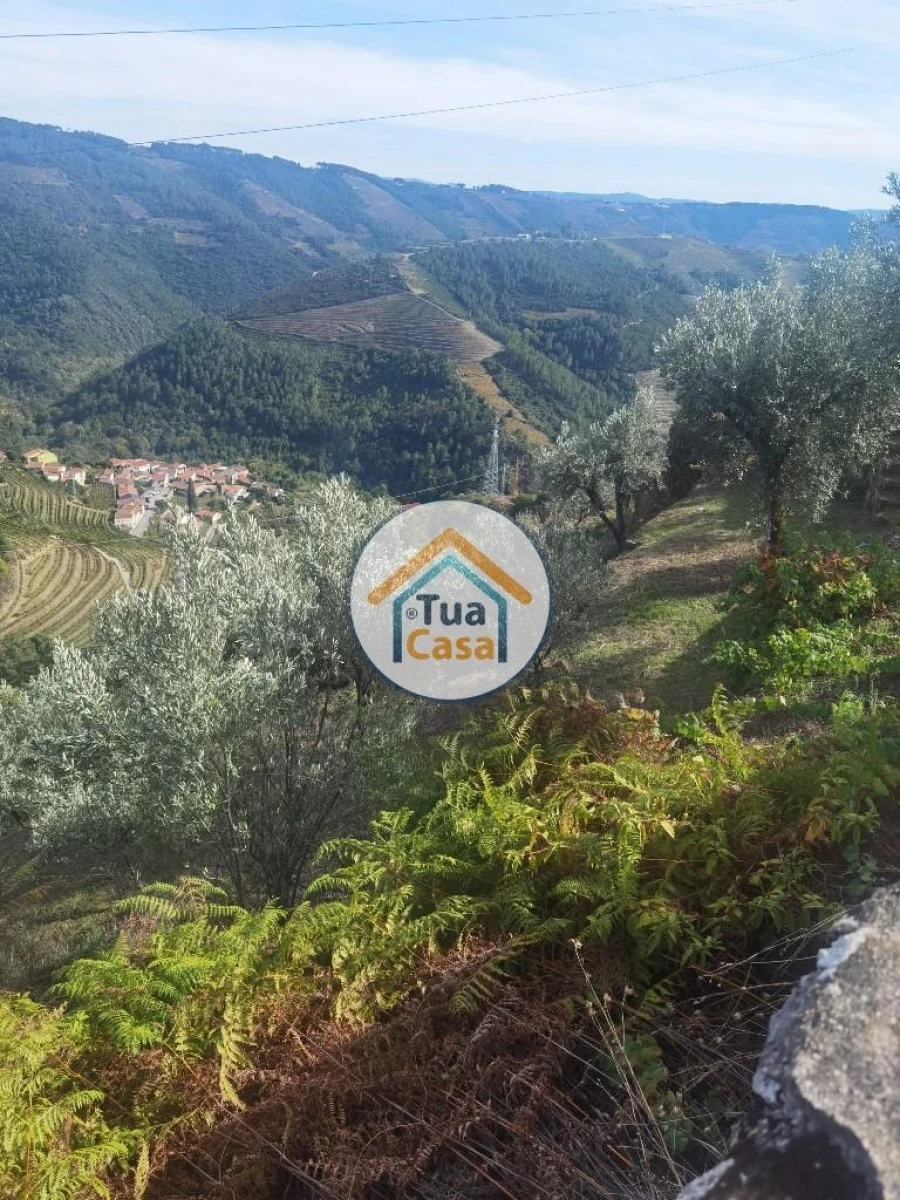 Terreno para Venda em Parada de Cunhos Foto 13