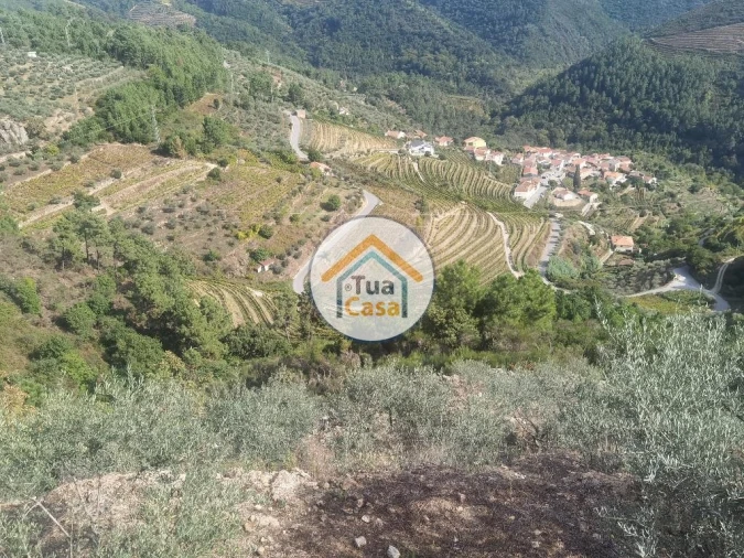 Terreno para Venda em Parada de Cunhos Foto 21