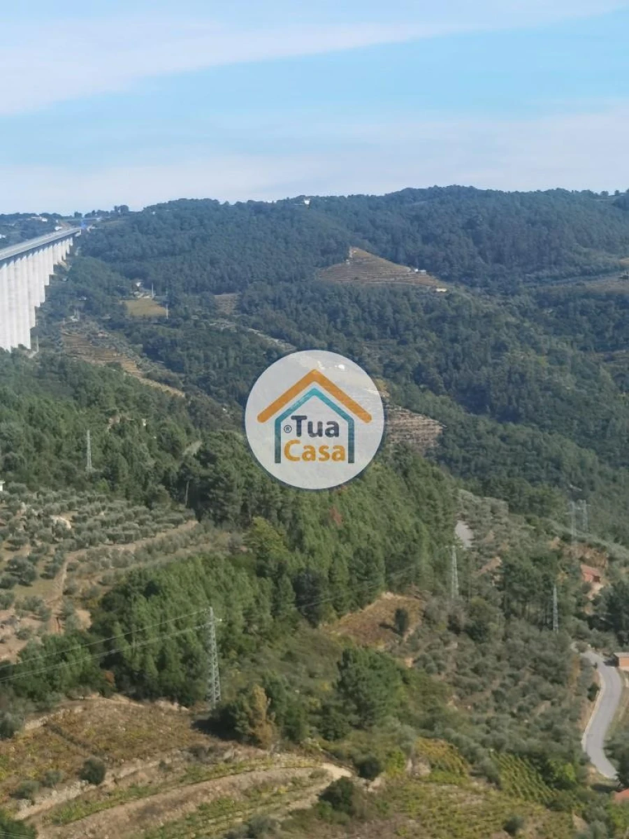 Terreno para Venda em Parada de Cunhos Foto 27