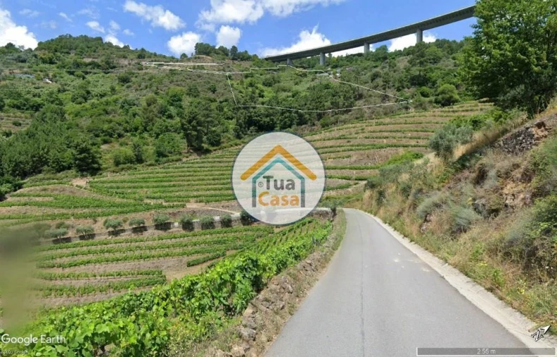 Terreno para Venda em Parada de Cunhos Foto 8