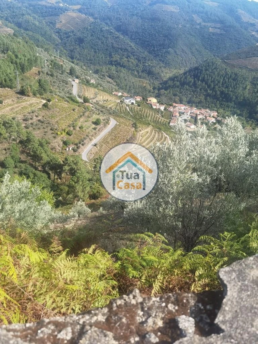 Terreno para Venda em Parada de Cunhos Foto 17