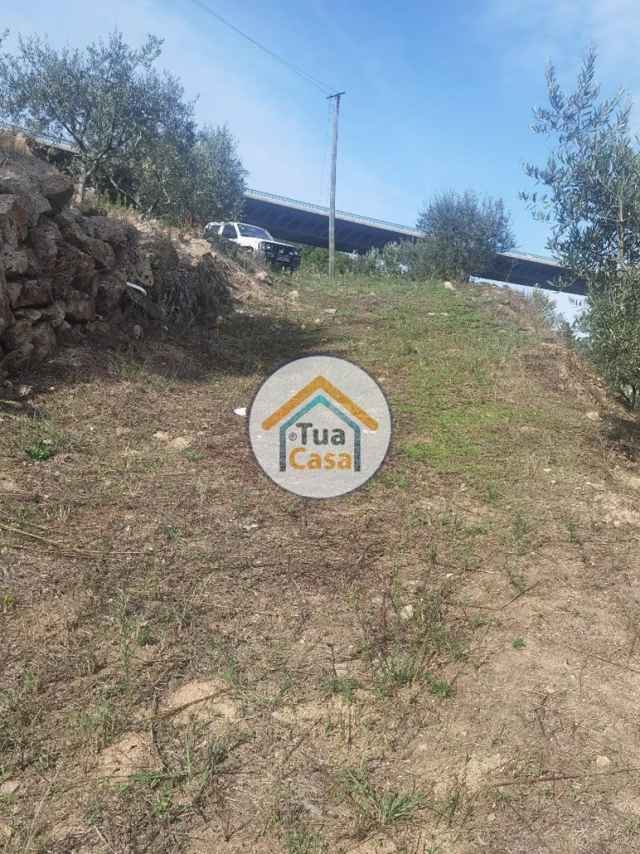 Terreno para Venda em Parada de Cunhos Foto 29