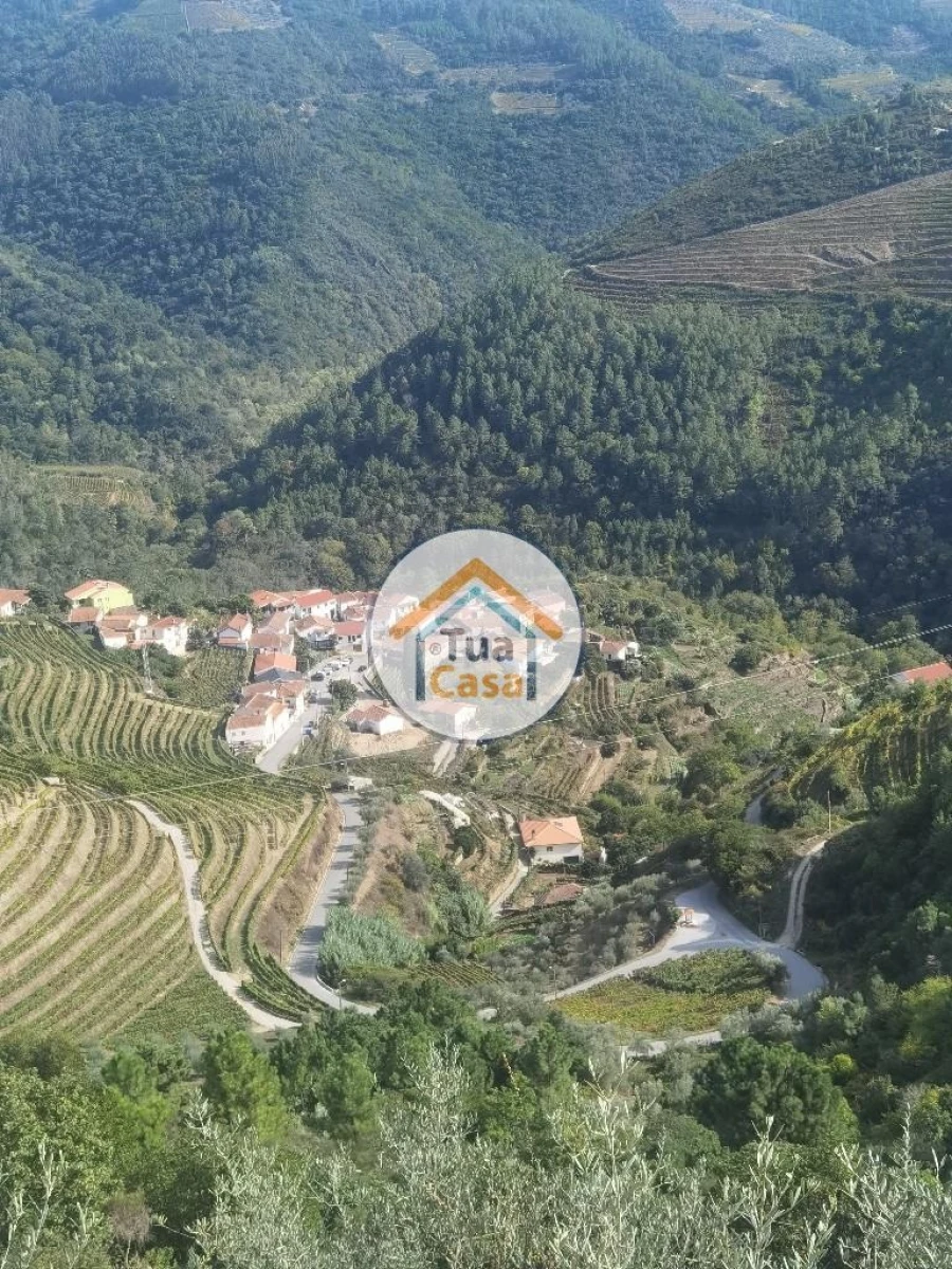 Terreno para Venda em Parada de Cunhos Foto 22