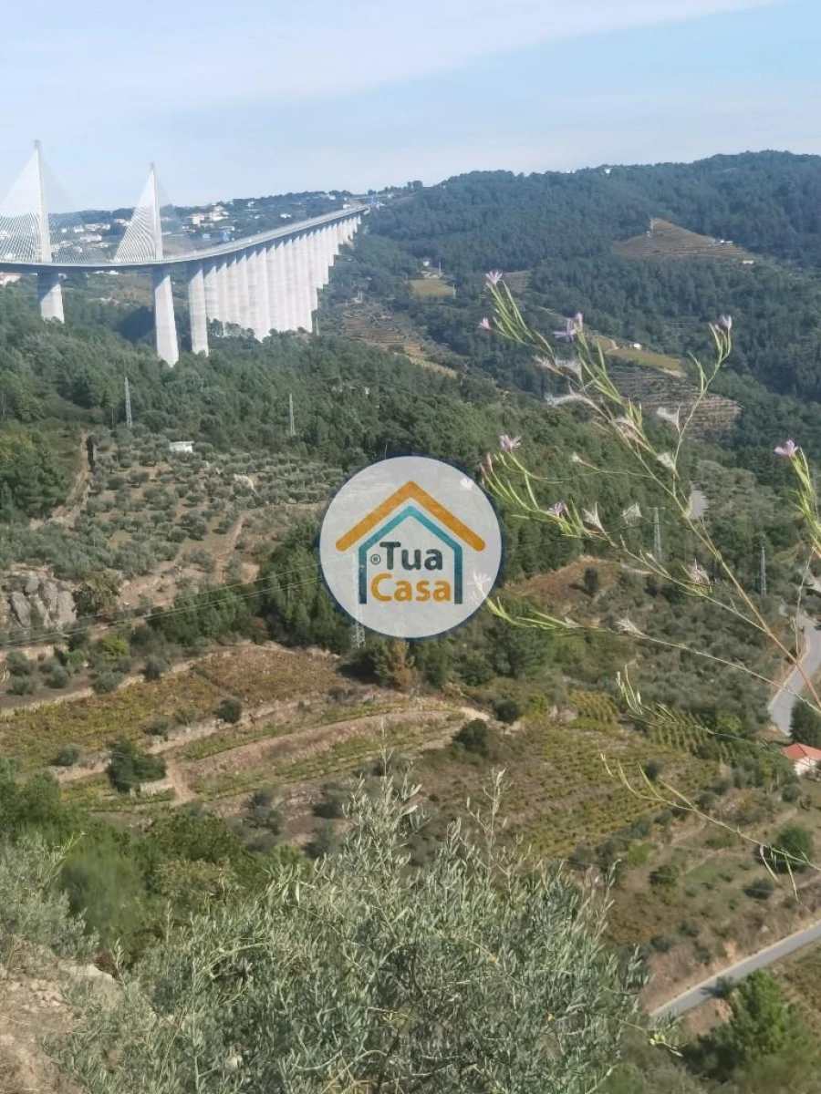 Terreno para Venda em Parada de Cunhos Foto 35