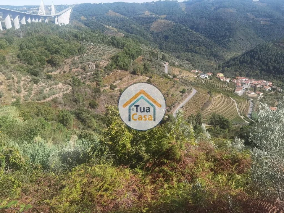 Terreno para Venda em Parada de Cunhos Foto 11