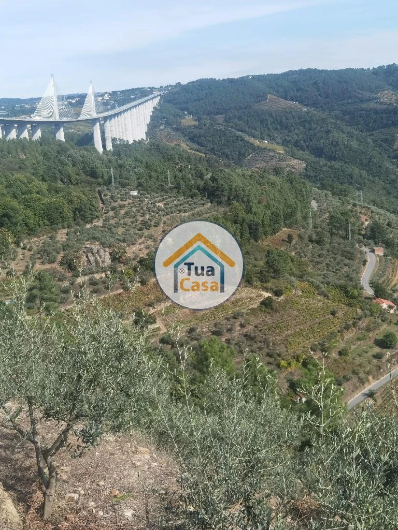 Terreno para Venda em Parada de Cunhos Foto 24