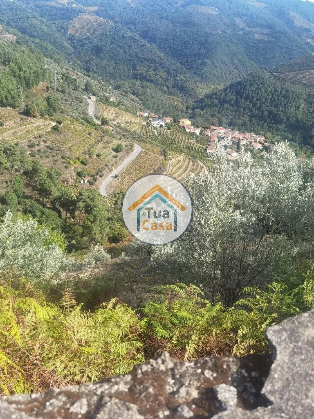 Terreno para Venda em Parada de Cunhos Foto 17