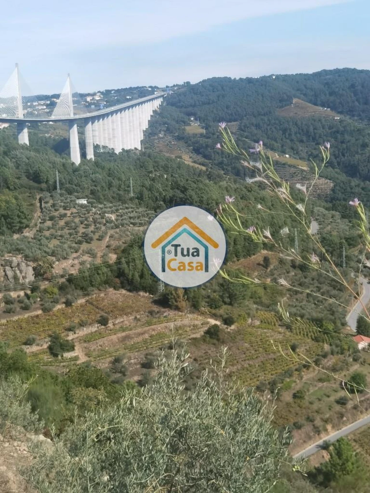 Terreno para Venda em Parada de Cunhos Foto 35