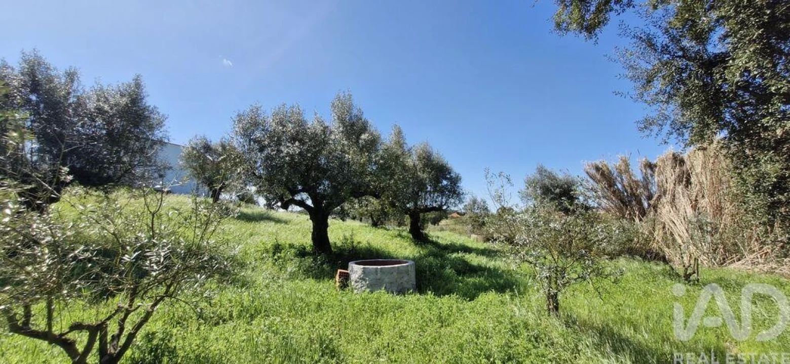 Terreno para Venda em Fraguas Foto 5