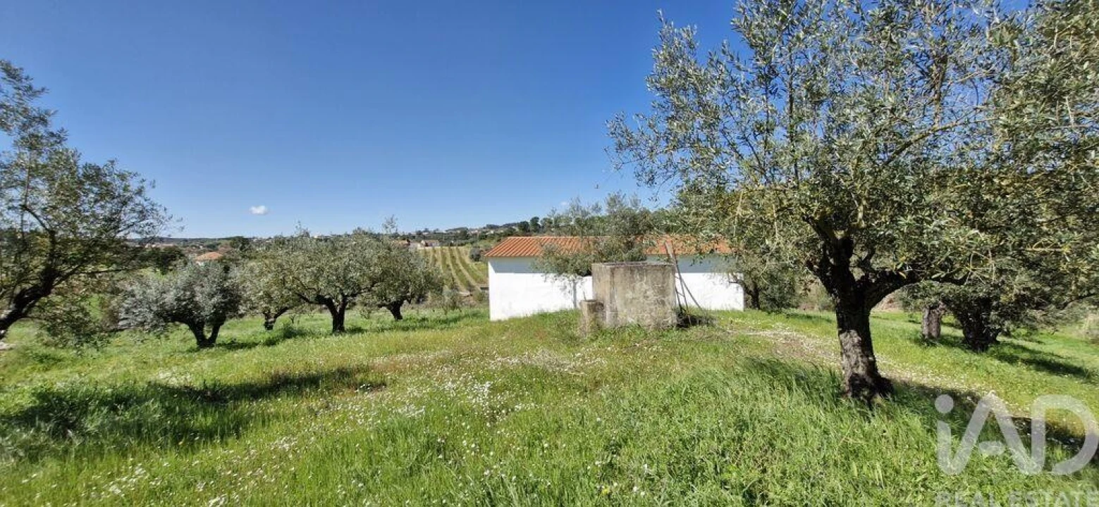 Terreno para Venda em Fraguas Foto 10