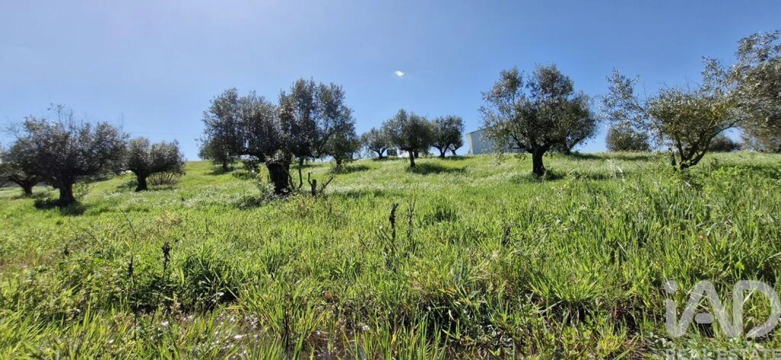 Terreno para Venda em Fraguas Foto 6
