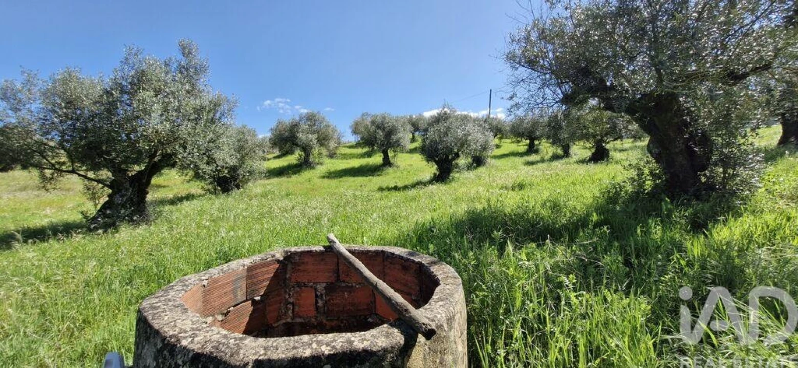 Terreno para Venda em Fraguas Foto 9