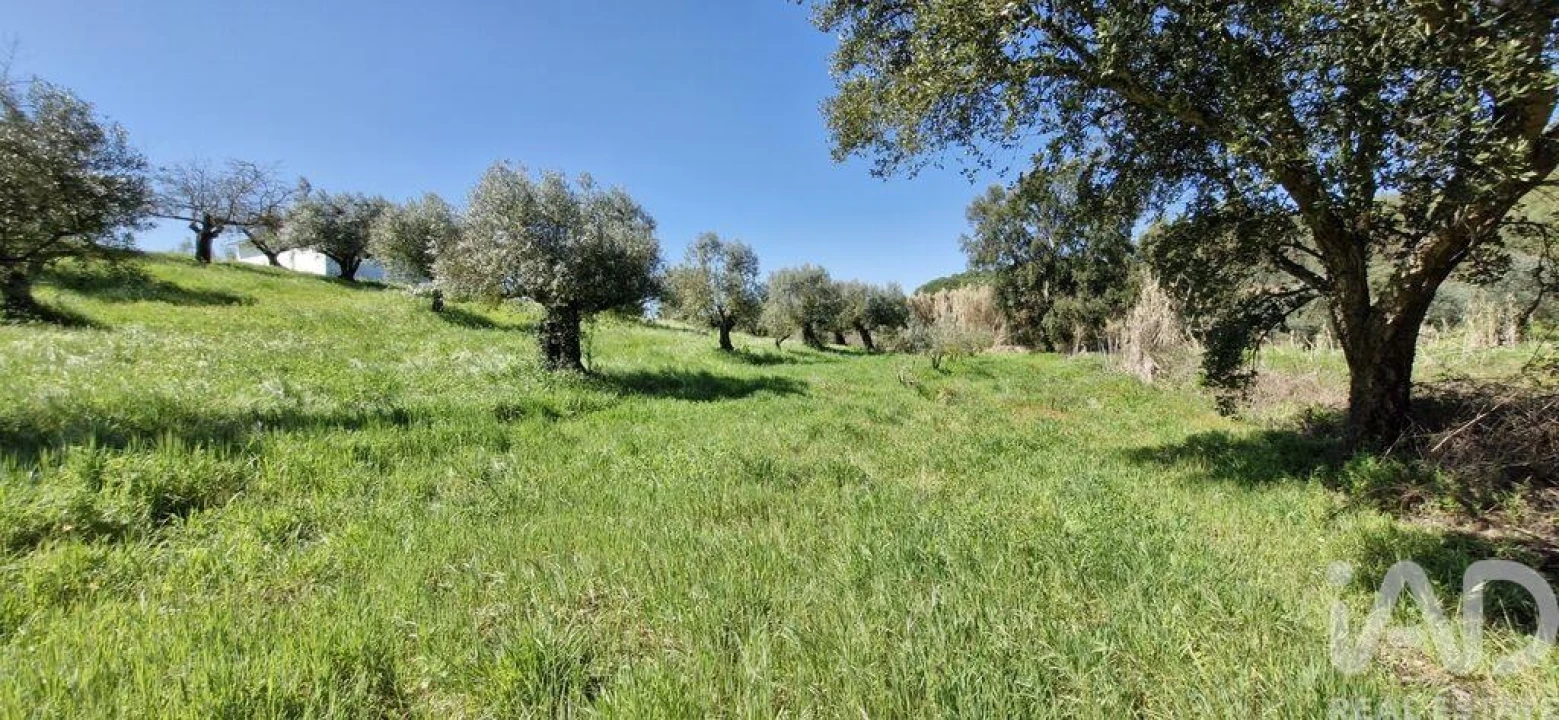 Terreno para Venda em Fraguas Foto 7