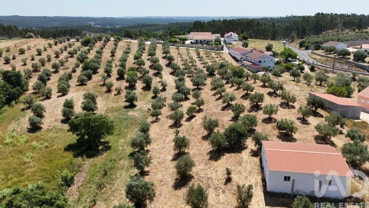 Terreno para Venda em Fraguas Foto 2