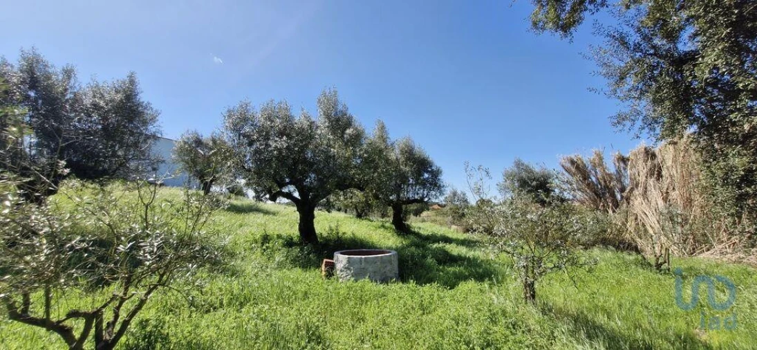 Terreno para Venda em Fraguas Foto 5