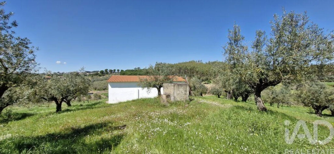 Terreno para Venda em Fraguas Foto 22