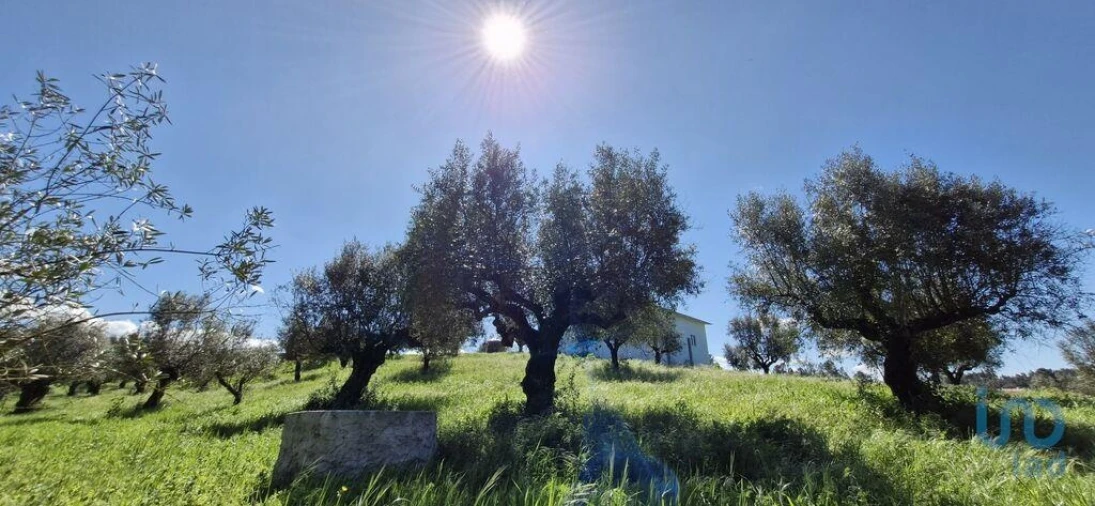 Terreno para Venda em Fraguas Foto 4