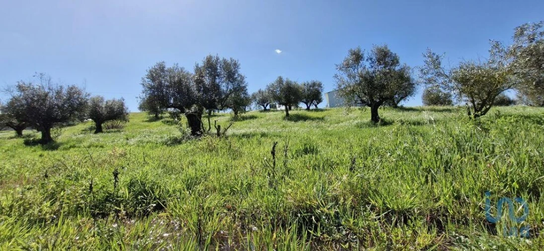 Terreno para Venda em Fraguas Foto 6