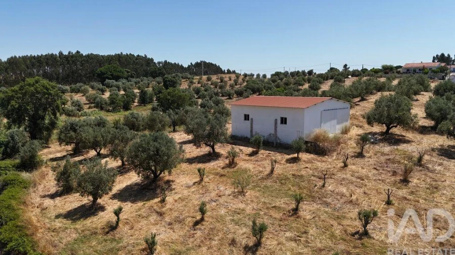 Terreno para Venda em Fraguas Foto 27