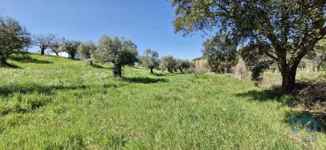 Terreno para Venda em Fraguas Foto 7