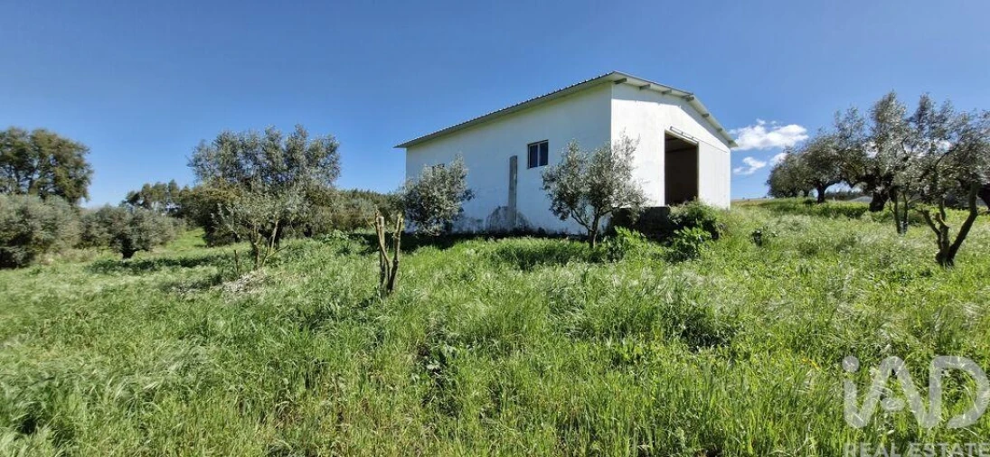 Terreno para Venda em Fraguas Foto 15