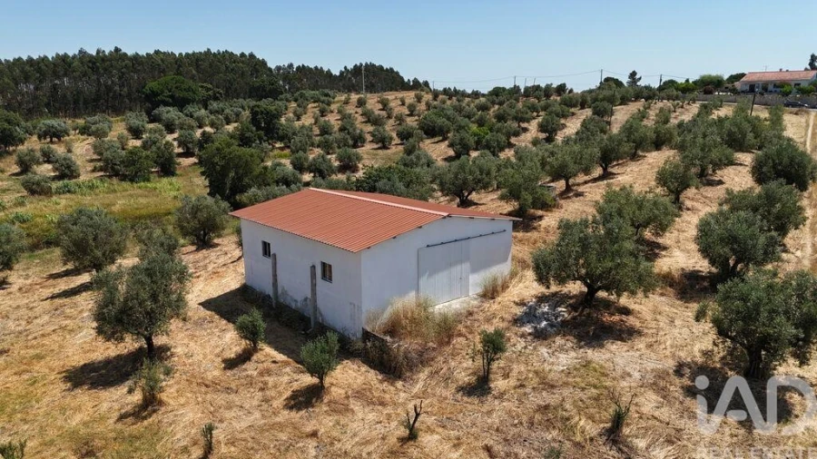 Terreno para Venda em Fraguas Foto 29