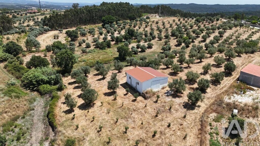Terreno para Venda em Fraguas Foto 28