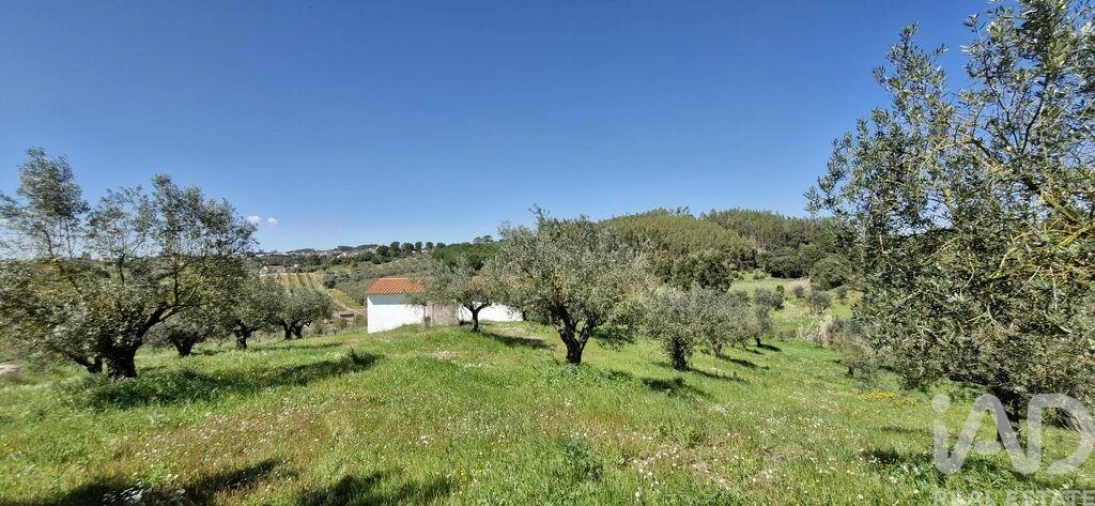 Terreno para Venda em Fraguas Foto 23