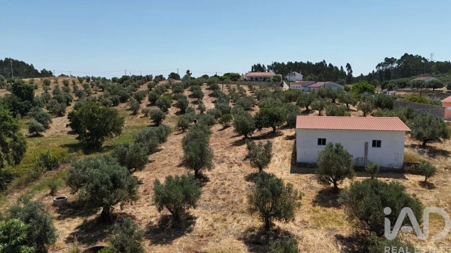 Terreno para Venda em Fraguas Foto 26