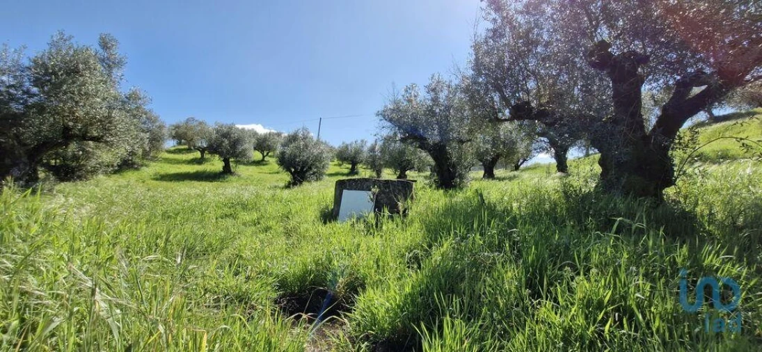 Terreno para Venda em Fraguas Foto 8