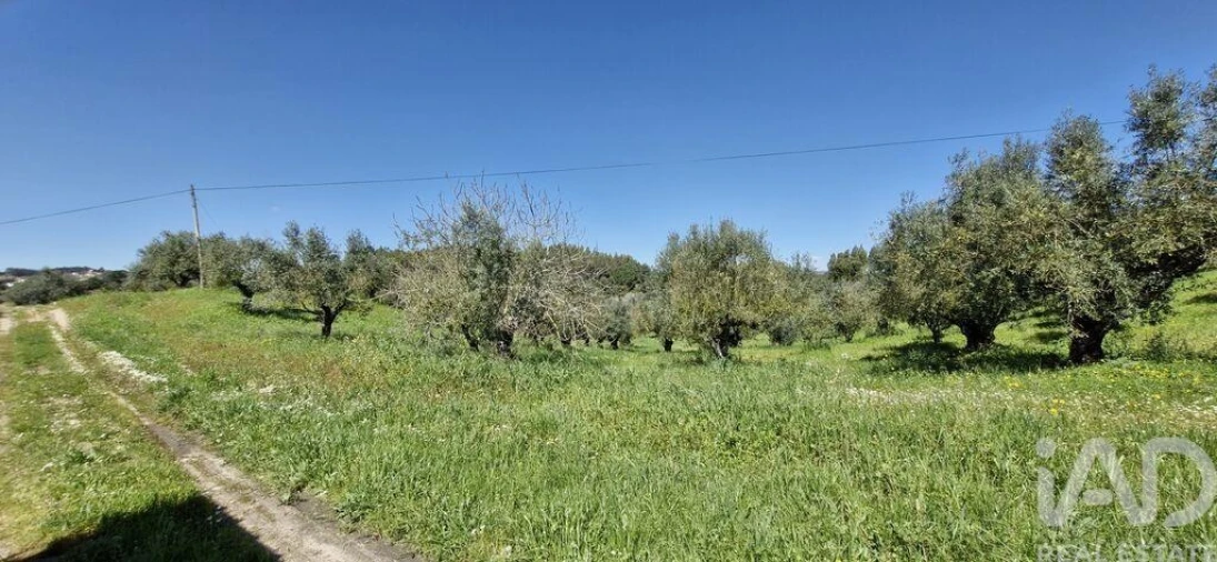 Terreno para Venda em Fraguas Foto 25