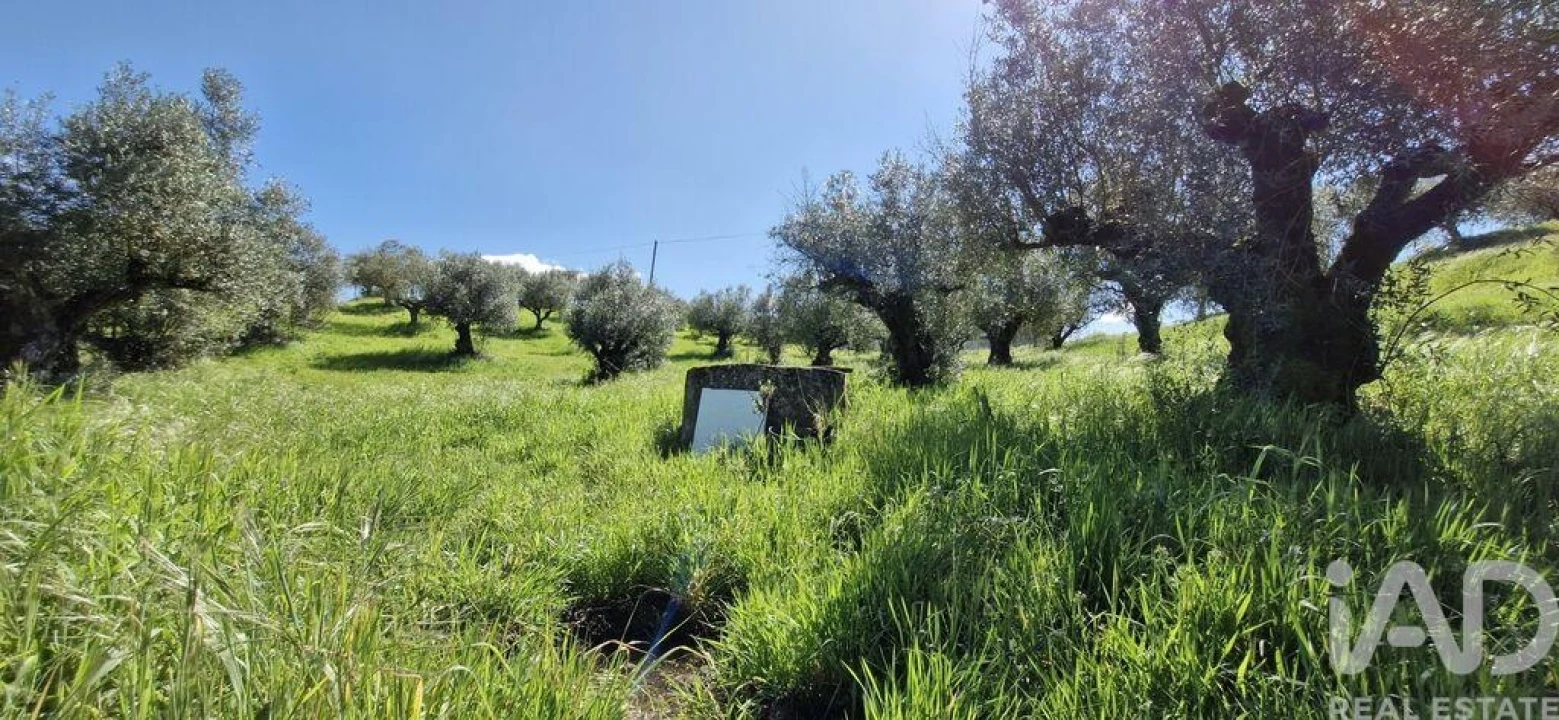 Terreno para Venda em Fraguas Foto 8