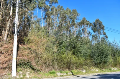 Terreno para Venda em Vieira do Minho