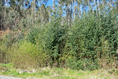 Terreno para Venda em Vieira do Minho