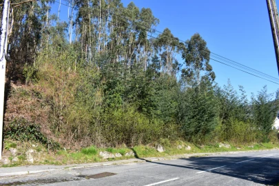Terreno para Venda em Vieira do Minho