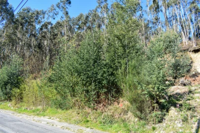 Terreno para Venda em Vieira do Minho