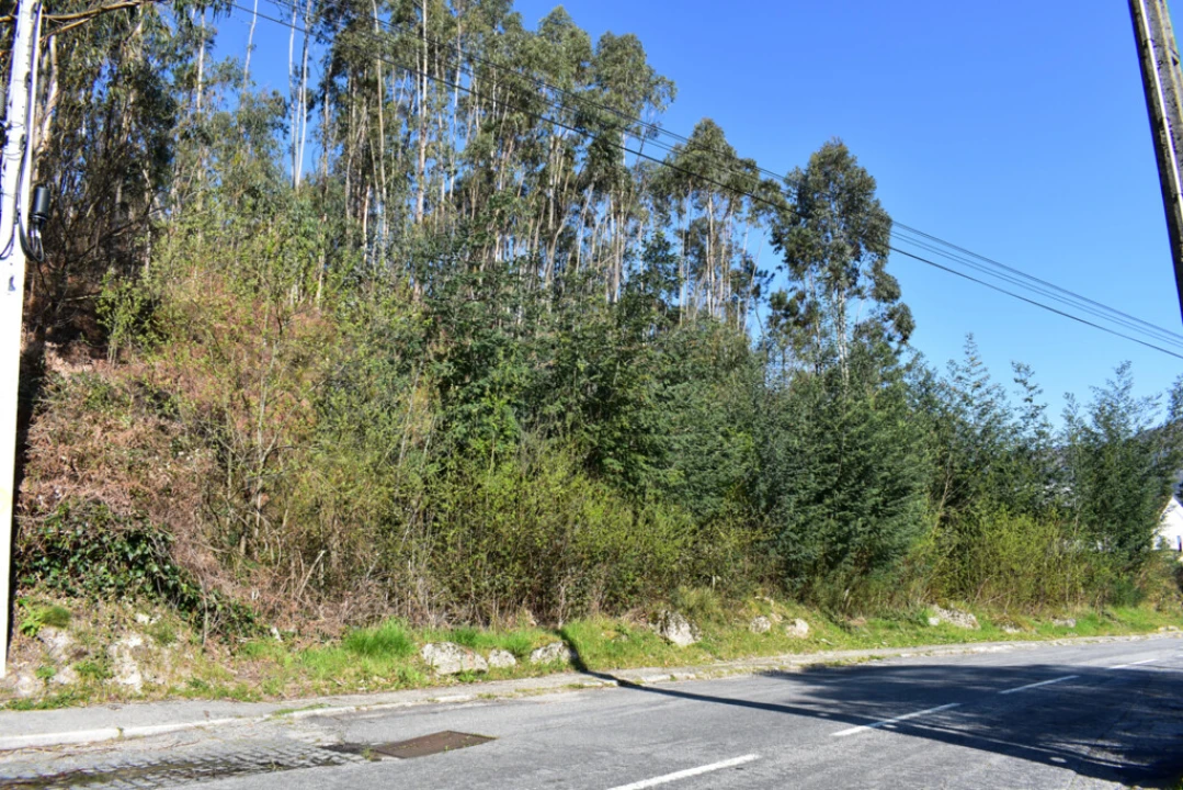 Terreno para Venda em Vieira do Minho Foto 5